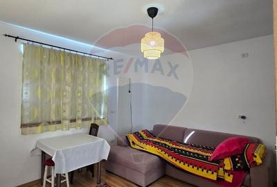 Casa la gri P+M cu anexa - oportunitate unica in Chisineu-Cris! - 5