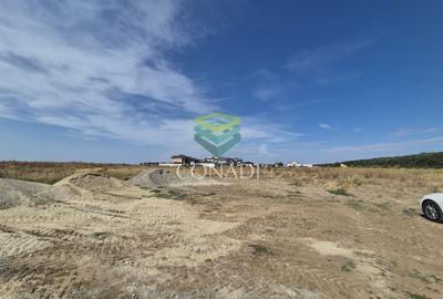 Teren -  Voluntari - zona Matei Millo - 5.607 mp - 1