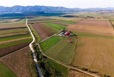 FILM! Zona extinsa, teren mixt,18.000 mp, ideal agro-investitii, Rotbav, Brasov - 13