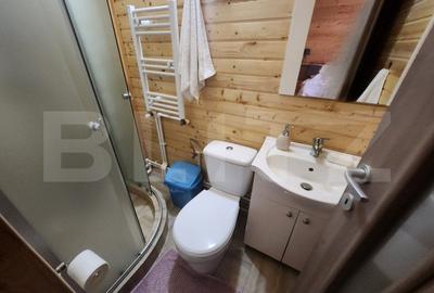Casa de vacanta superba,cu 5 camere,300 mp utili,Valisoara - 4