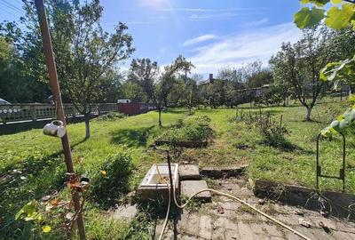 Oportunitate afacere pensiune, casa mare in aproprierea Castelului Corvinilor, Hunedoara - 6