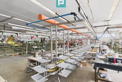 Hală de producție, cu birouri și teren, în Sebiș - 57