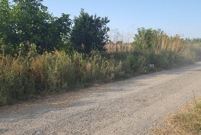 Teren intravilan, 2290mp, deschidere 21ml, in Serbanesti - 3