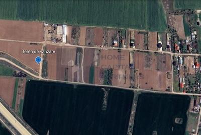 Teren de vanzare | Moara Vlasiei - 4