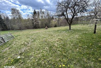 Teren de 5300 mp, în Râșca
