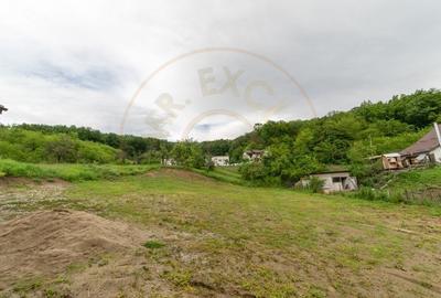 Casa Babana, Arges  - P+1+pod - cu panouri solare - 7