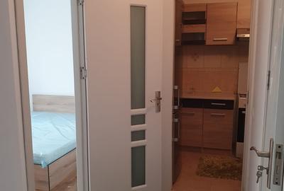 Apartament cu 2 camere decomandat, mobilat în Sala Palatului - 8