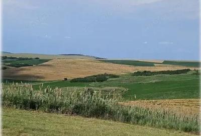 Teren Extravilan Aroneanu, ID: R2577828 - 3