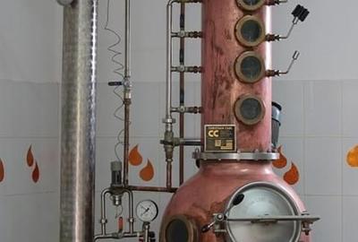 Proprietate specială, de 1,000 mp, în Ghioroc - 13