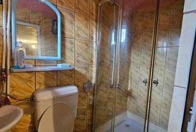 Casa de vacan?a pensiune de vanzare in comuna Salatrucu ( Valea Topologului), Jude? Arge?. - 1