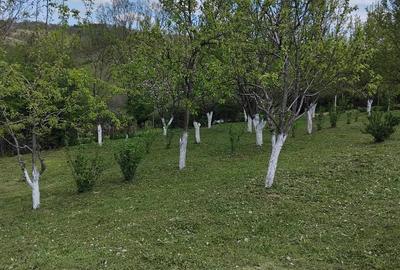 Casă cu 2 camere cu Teren 3500 Mp în Central - 7