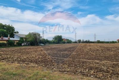 Teren Construcții intravilan de 2747 mp, în Balotești