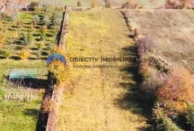 Teren de 2200 mp, în Gârcina - 4