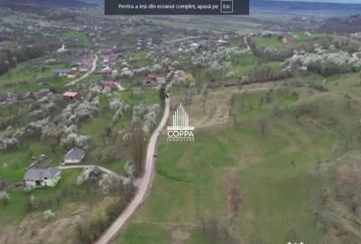 Teren de 5257 mp, în Curtuiușu Mic - 4