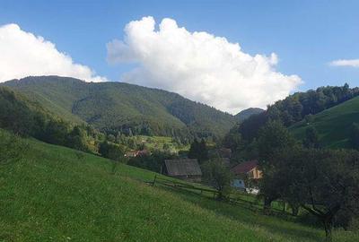 Teren de 4277 mp, în Bran