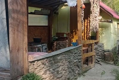 Casă cu 2 camere în Băița - 5