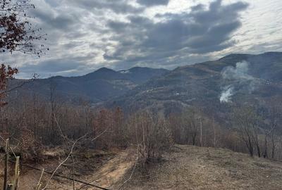 Spațiu comercial, în Muntele Rece