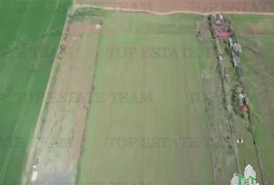 Teren de 24611 mp, în Păulești - 9