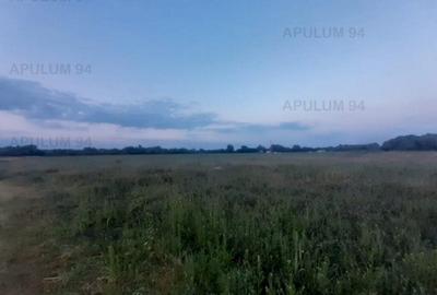 Teren aproape de Bucuresti langa padure - 8