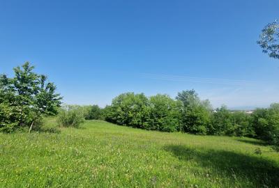 Teren intravilan – 3.101 mp, Tărlungeni, Brașov – ideal pentru casă de vacanta - 10