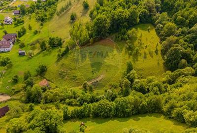COMISION 0% Teren 11,381 mp Moieciu de Jos / Oportunitate unica - 8