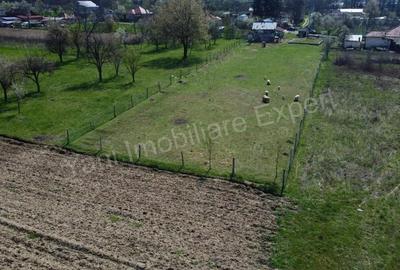 Teren de 2508 mp, în Argeșani - 2