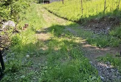 Superba casa cu teren ,garaj !! - 3