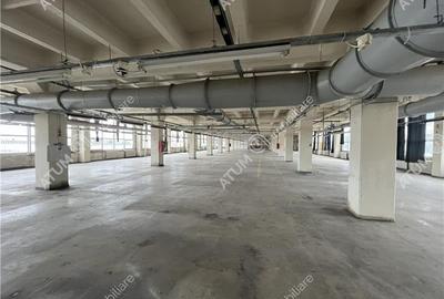 Hala industriala 1738 mp cu lift industrial situat in zona Centrala Hala industriala 1738 mp cu lift industrial situat in zona Centrala - 6