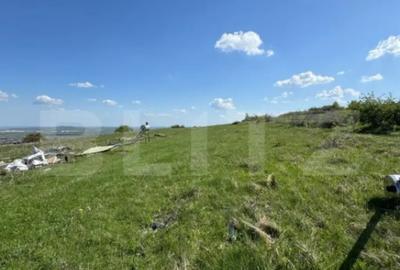 Casă cu 6 camere cu Teren 8700 Mp în Turda - 3