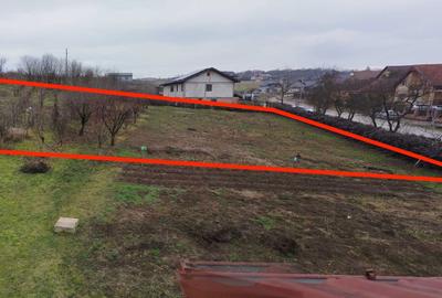 Spațiu comercial, în Badon - 5