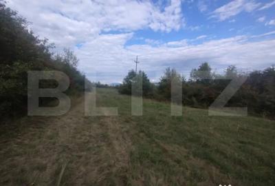 Teren de 3551 mp, în Central