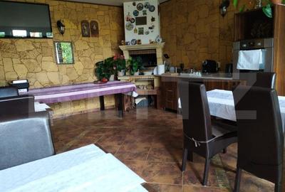 Pensiune de 503 mp, teren 690 mp, in zona Cetate - 4