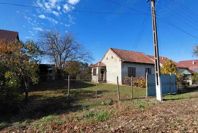 Casă cu 3 camere în Zăgujeni