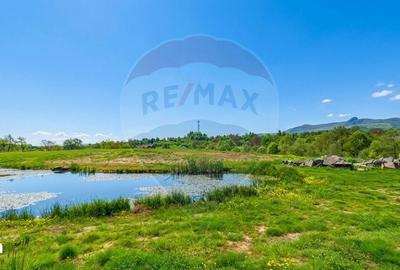 Casă cu 4 camere cu Teren 10130 Mp în Desești - 7