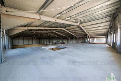 Spațiu industrial, de 4,000 mp, în Balotești - 7