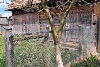 Casă cu 3 camere semidecomandat în Iara - 7