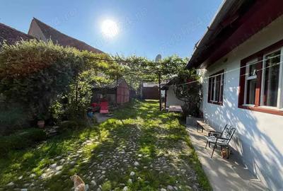 Casă cu 4 camere cu Teren 2200 Mp în Viscri - 3