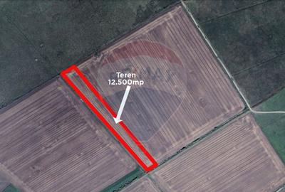 Teren agricol extravilan de 12500 mp, în Dumbrava - 3