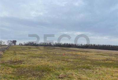 RECO Teren intravilan cu PUZ, la 4 minute de oras ,720 mp,Pa - 4