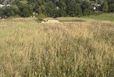 Spațiu comercial, în Gârcina - 1