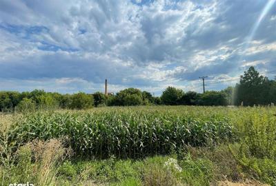 Casă cu 4 camere în Diosig - 1