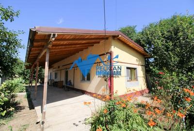 Casă individuală cu 3 camere în Cataloi