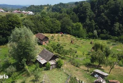 Teren de 6200 mp, în Cicănești - 14