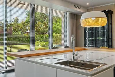 Vila superba la liziera padurii | Iancu Nicolae | Brtitish School | - 12