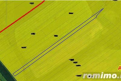 Teren extravilan arabil Ardeoani, ID: R1983077 - 2