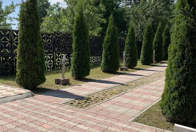 Casă cu Teren 240 Mp în Moreni - 3