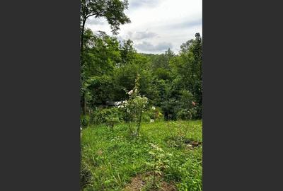 Casa Baicoi 95 mp Sc, 2578 mp teren - 5