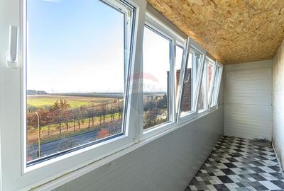 Apartament cu 2 camere de inchiriat in zona Planete - 17