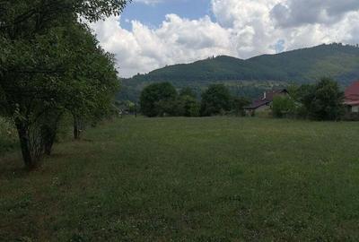 Teren în Stejaru (Pângărați) - 6