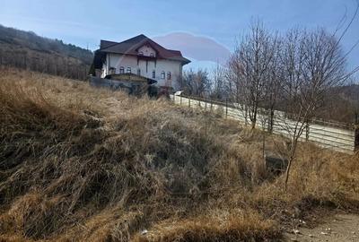 Teren Construcții intravilan de 500 mp, în Calea Romanului - 8